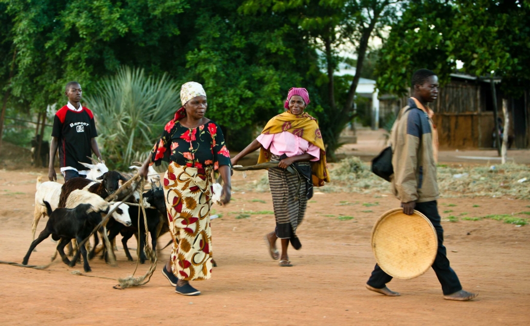 USAID Programs in Mozambique