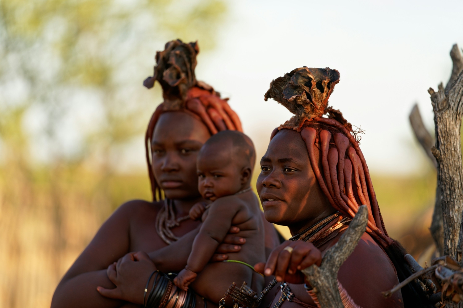 Namibia's Resilience: USAID Programs in Namibia - The Borgen Project