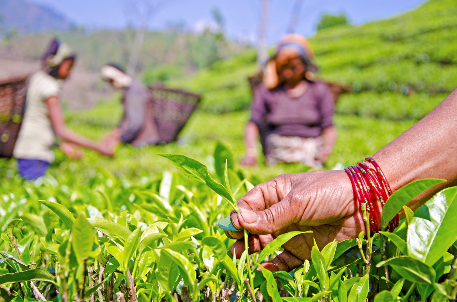 usaid-programs-in-nepal-the-borgen-project