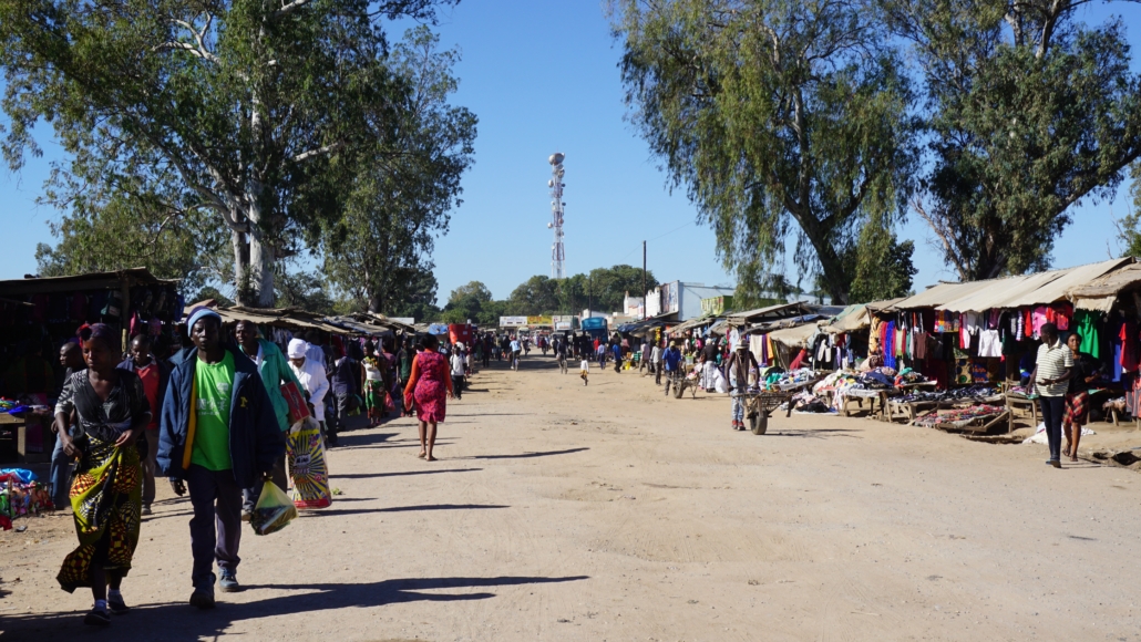 To A Healthier Future: USAID Programs In Zambia - The Borgen Project