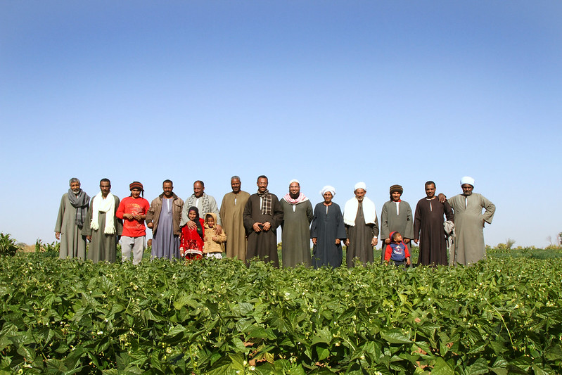 USAID programs in Egypt