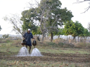 Urine Fertilizer in Burkina Faso
