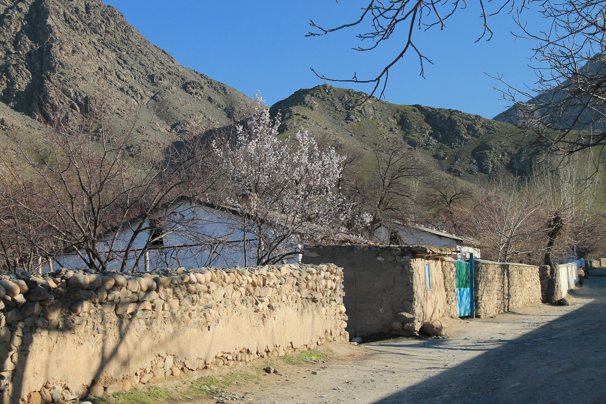 Uzbekistan Poverty Rate