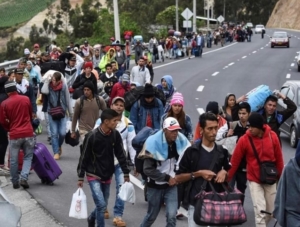 migrants exploitation califica chavismo niega migratoria borgenproject venezuelas