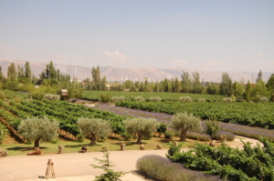 War in South Lebanon