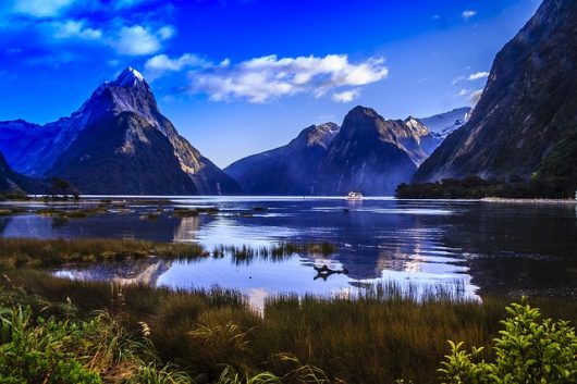 Water Quality in New Zealand