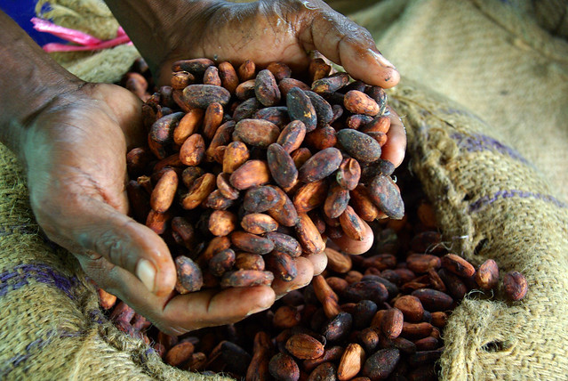 What You Need to Know about Fair Trade