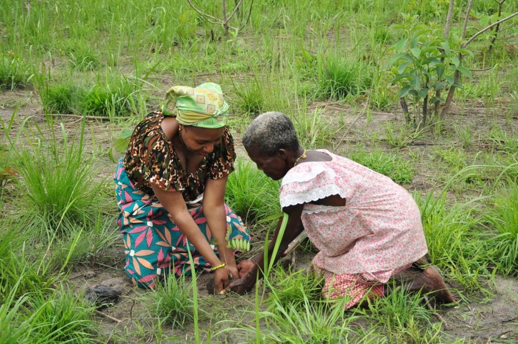 Women’s Land Rights in Côte d’Ivoire