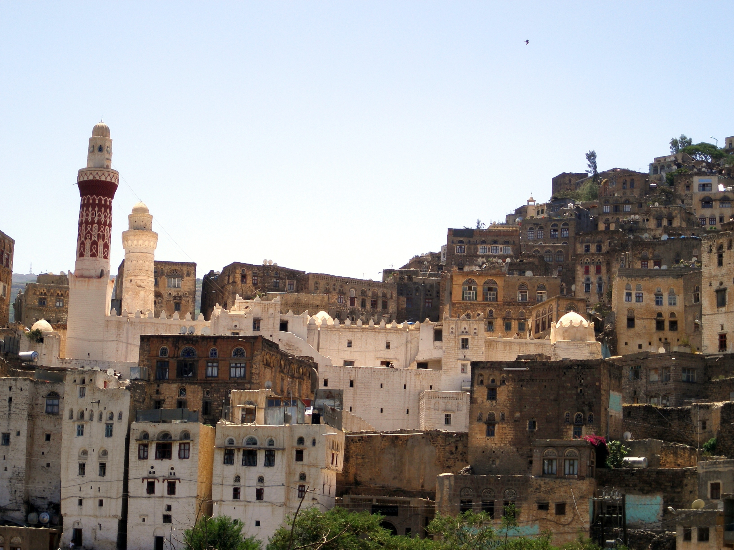 Yemen Crisis