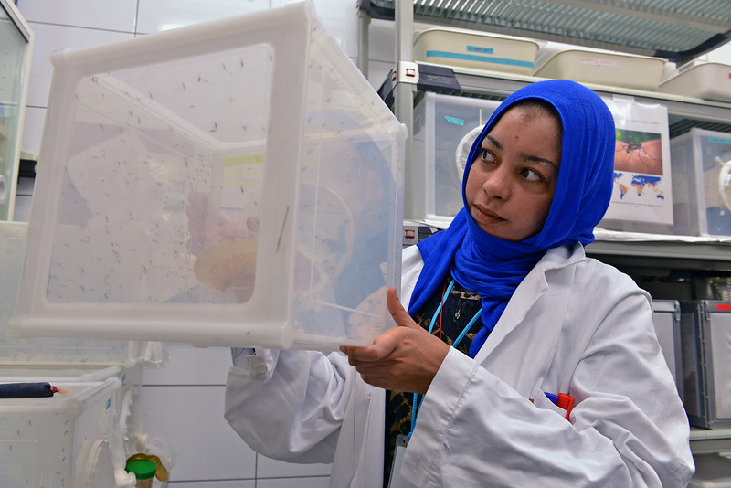 Zika Virus Treatment