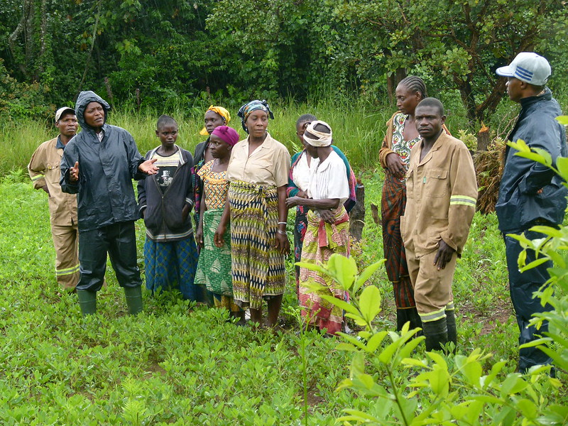 Zimbabwe’s Blueberry
