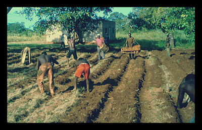 african-village-farmers-2seeds-network_opt