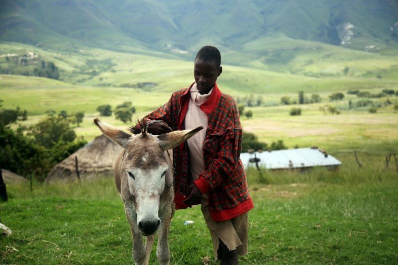 hiv in lesotho