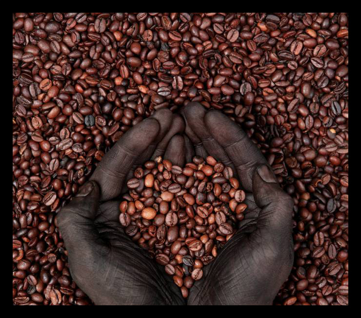 black_gold_coffee_ethiopia