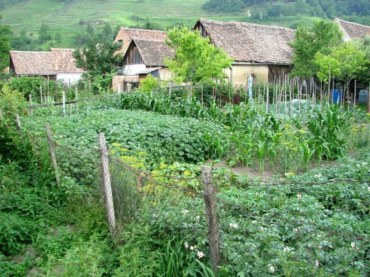 sustainable agriculture in Romania