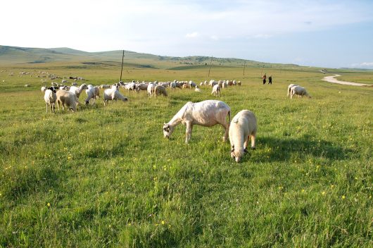 sustainable agriculture in Serbia