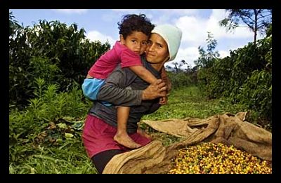 brazil_farmer_family_agricultural_development_global_poverty_opt