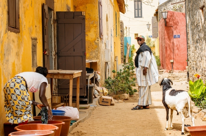 rural sanitation