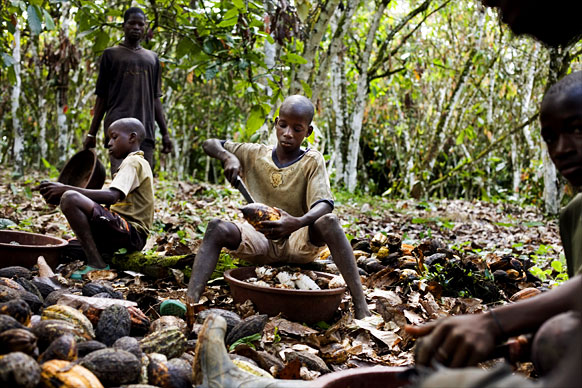 Child Labor to Make Chocolate