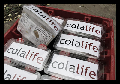 colalife
