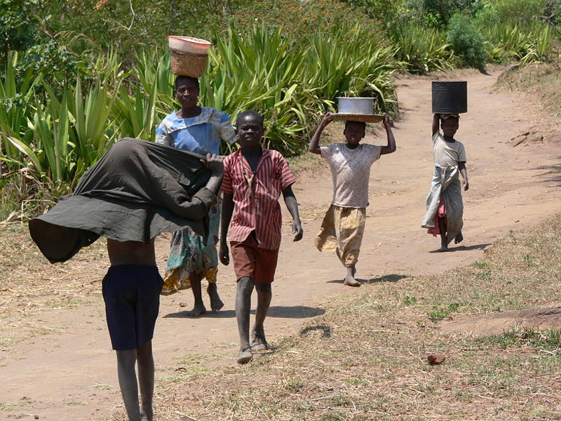 Covid -19 in Malawi