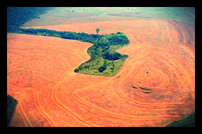 deforestation_central_america