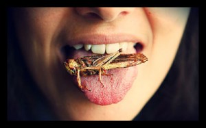 eating-insects-to-fight-world-hunger