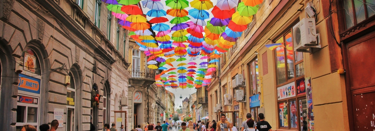 Poverty Reduction in Romania