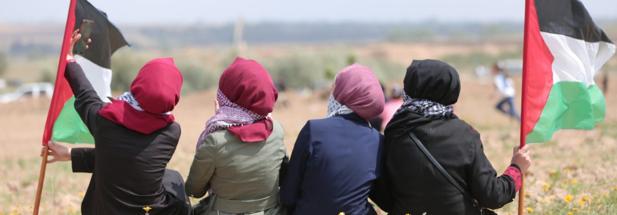 Higher education in gaza