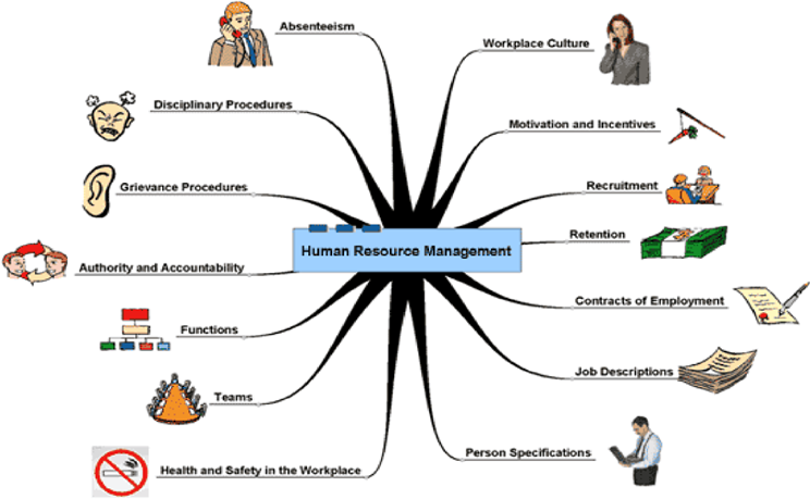 the impact of human resource management in an organization