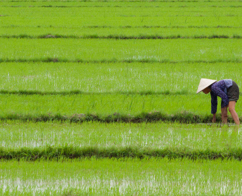 improving conditions for Vietnam farmers