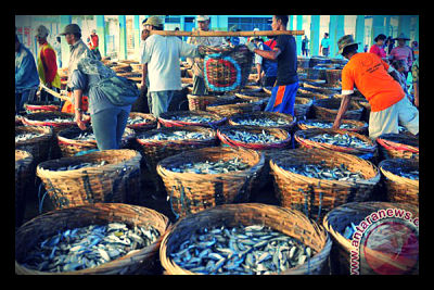 Sustainable Fishing in Indonesia