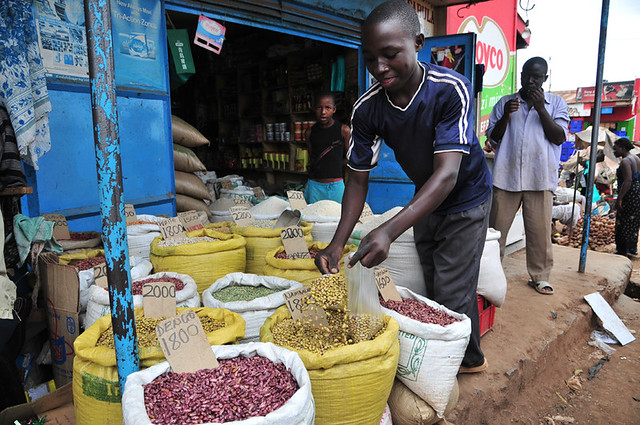 rethinking-the-international-food-trade-the-borgen-project