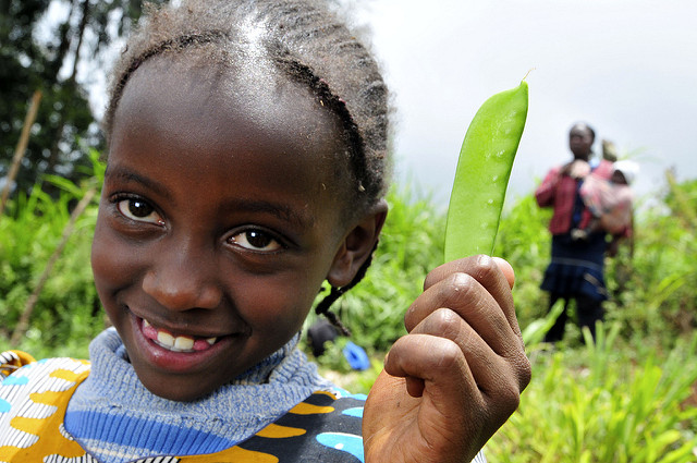 the-international-poverty-line-as-an-assessment-tool