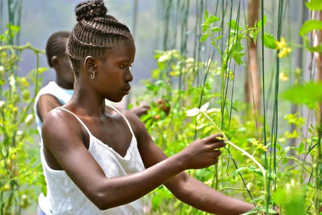 Exploring Land Rights for Women in Kenya - The Borgen Project