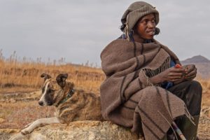 healthcare in lesotho