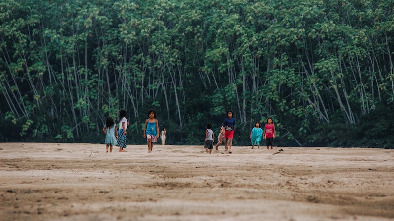 Deforestation in Brazilian  down 22% in a year