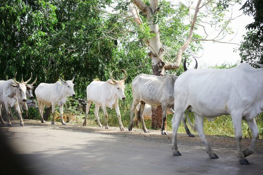 livestock production in ghana