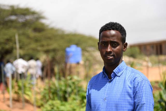 locusts in Somalia