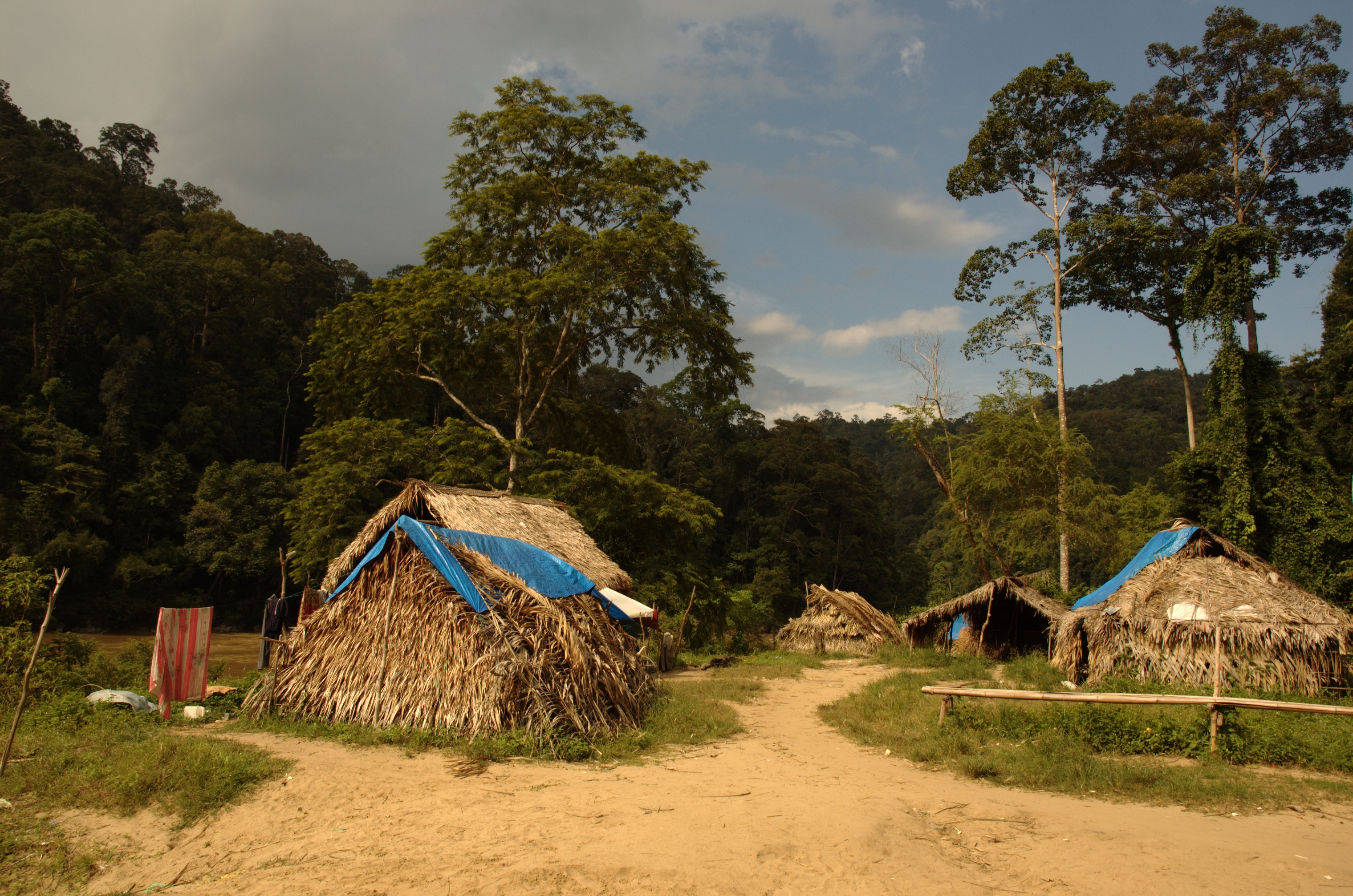 Digital Inclusion in Malaysia: Access for Orang Asli - The Borgen 