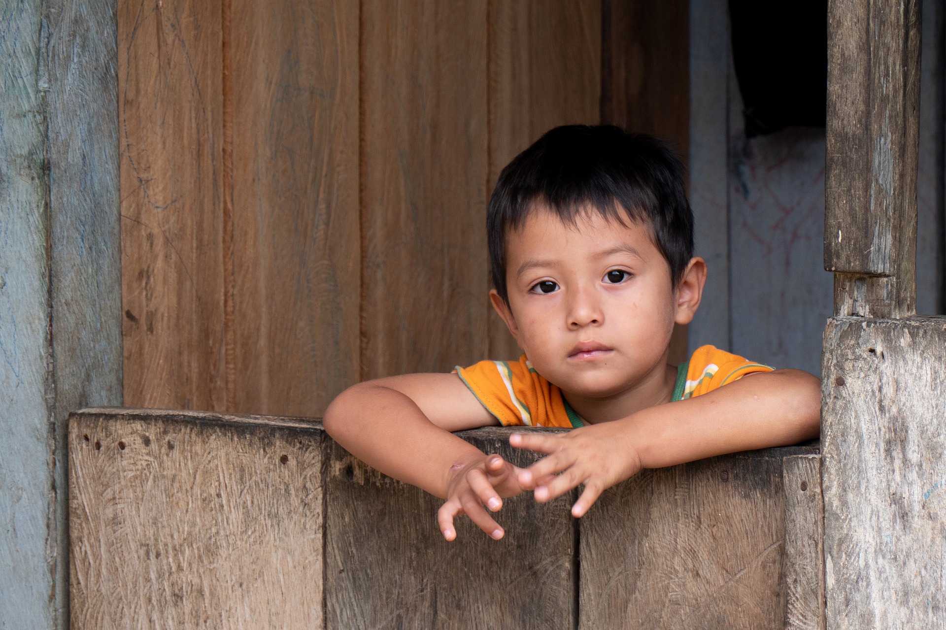 malnutrition in latin american children