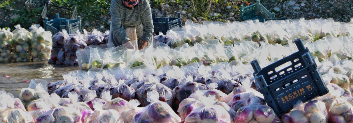 Food Insecurity in Lebanon
