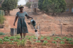 Poverty Eradication in Benin