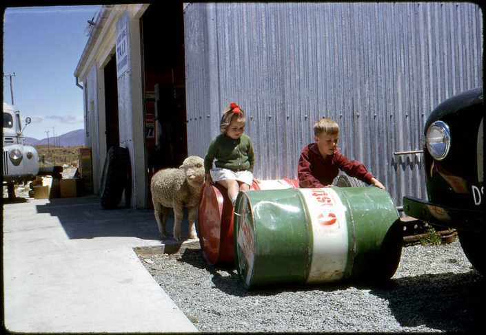 poverty-in-new-zealand-the-borgen-project