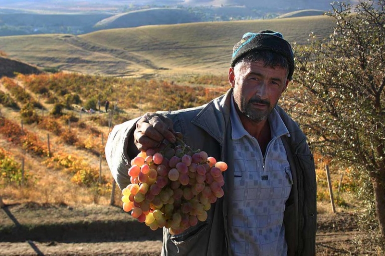 Agriculture Projects in Tajikistan The Project