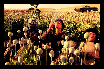 Record Levels of Afghan Opium Production