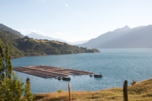 Salmon Farming in Chile
