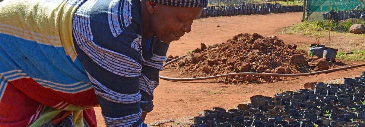 Disability and Poverty in Lesotho