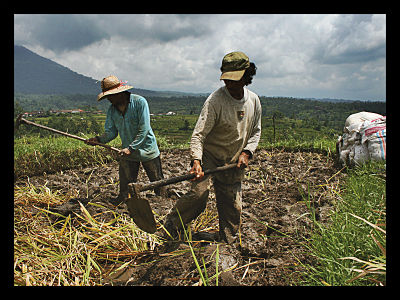 What is “No Regret” Climate Adaptation?