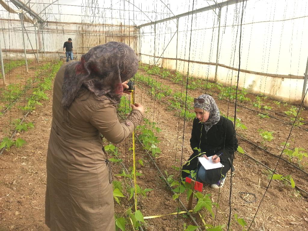 sustainable agriculture in West Bank and Gaza